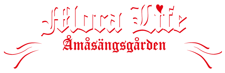 Mora Life - Åmåsängsgården